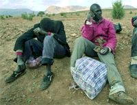 Журнал «Компьютерра» №39 от 25 октября 2005 года - pic_4.jpg