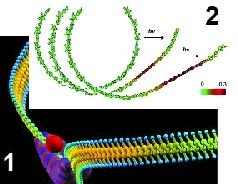 Журнал «Компьютерра» №43 от 22 ноября 2005 года - pic_9.jpg