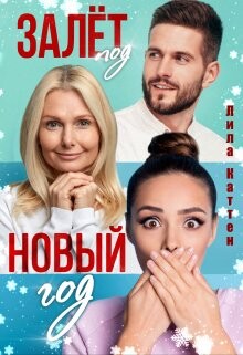 Книга Залет под Новый год (СИ)