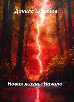 Книга Начало (СИ)