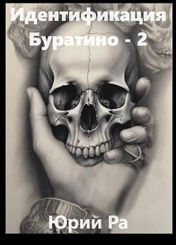 Книга Идентификация Буратино 2 (СИ)