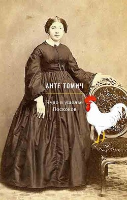 Читать онлайн книгу Чудо в ущелье Поскоков автор Анте Томич Книга Чудо в ущелье Поскоков