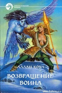 Книга Возвращение воина