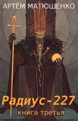 Книга Радиус 227 книга третья (СИ)