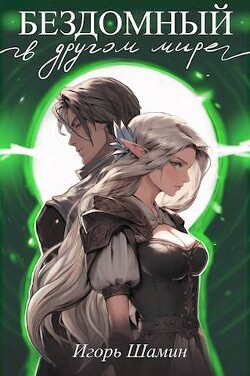 Книга Бездомный в другом мире (СИ)