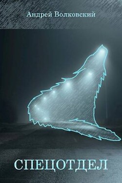 Читать онлайн книгу Спецотдел (СИ) автор Волковский Андрей Книга Спецотдел (СИ)