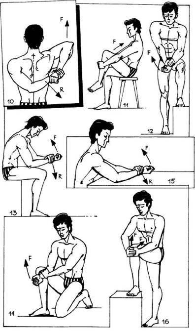 Атлетическая гимнастика без снарядов - any2fbimgloader10.jpeg