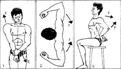 Атлетическая гимнастика без снарядов - any2fbimgloader13.jpeg