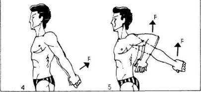 Атлетическая гимнастика без снарядов - any2fbimgloader14.jpeg