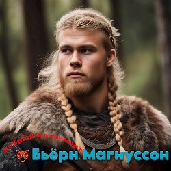 Книга Бьёрн Магнуссон (СИ)