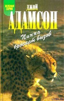 Книга Пиппа бросает вызов