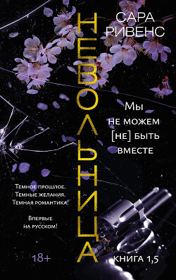 Книга Невольница. Книга 1,5. Мы не можем (не) быть вместе