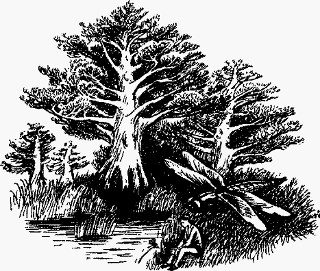 Волшебный браслет - i_034.png