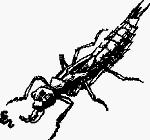 Волшебный браслет - i_038.png