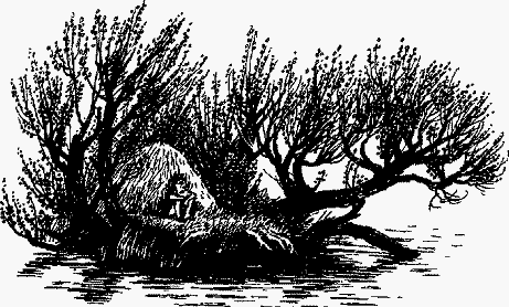 Волшебный браслет - i_041.png