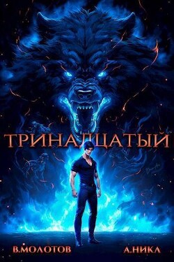 Книга Тринадцатый IV (СИ)