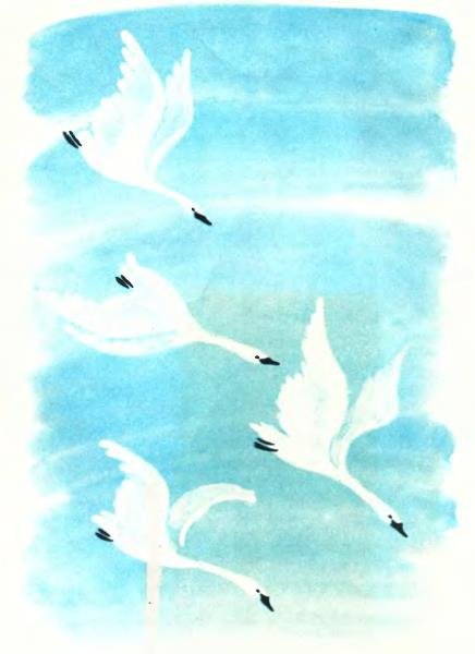 Гуси-лебеди - i_002.jpg