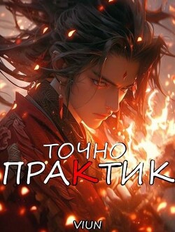 Книга Точно практик 4 (СИ)