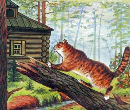 Кот и лиса - i_004.jpg