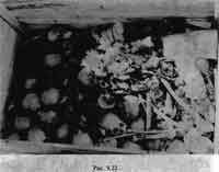 Какой сейчас век? - pic_237.jpg