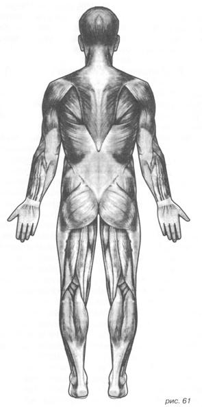 Садомазохизм: путь плети (с иллюстрациями) - image064.jpg