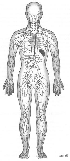 Садомазохизм: путь плети (с иллюстрациями) - image066.jpg