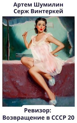 Книга Ревизор: возвращение в СССР 20 (СИ)