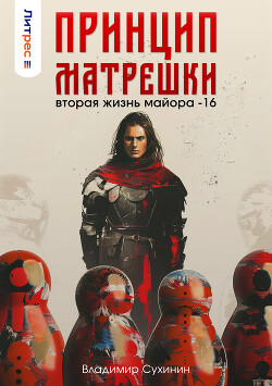 Книга Принцип матрешки (СИ)