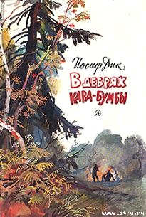 Читать онлайн книгу В дебрях Кара-Бумбы автор Дик Иосиф Иванович Книга В дебрях Кара-Бумбы