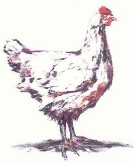 Абарат: Первая книга часов - abarat_Page_033.jpg
