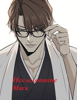 Читать онлайн книгу Исследование Мага. Часть первая (СИ) автор Книга Исследование Мага. Часть первая (СИ)