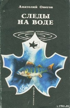 Книга Вода, настоянная на чернике