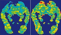 Журнал "Компьютерра" №739 - _739-57.jpg