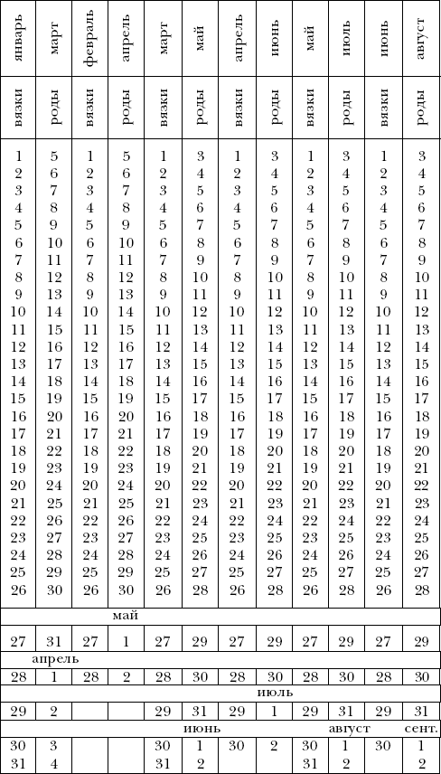 Йоркширский терьер - _017.png