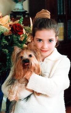 Йоркширский терьер - v15.jpg