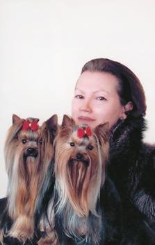 Йоркширский терьер - v16.jpg