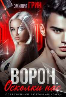 Читать онлайн книгу Осколки нас (СИ) автор Грин Эмилия Книга Осколки нас (СИ)