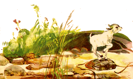 Сестрица Аленушка и братец Иванушка (илл. Чеботарёв) - i_011.png