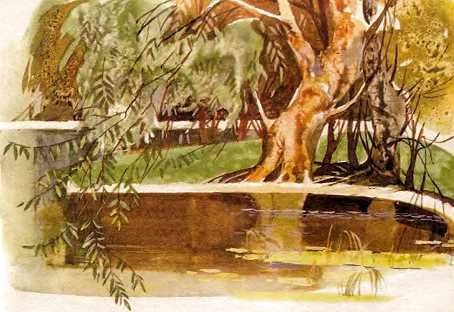 Сестрица Аленушка и братец Иванушка (илл. Чеботарёв) - i_008.jpg