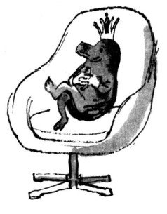 Долой огуречного короля - i_007.jpg