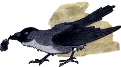 Восемь волшебных желудей, или Приключения Желудино и его младших братьев
 - i_023.png