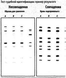 Все под контролем: Кто и как следит за тобой - pic_5.jpg