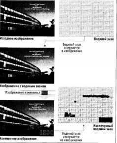 Все под контролем: Кто и как следит за тобой - pic_23.jpg