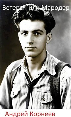 Книга Ветеран или Мародер (СИ)