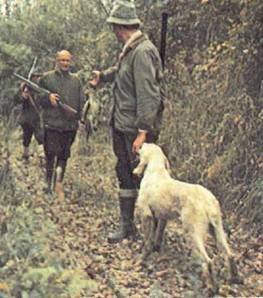 Энциклопедия собаки. Охотничьи собаки - i_119.jpg