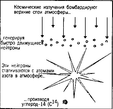 Кен Хэм Эндрю Снеллинг Карл Вилэнд КНИГА ОТВЕТОВ Ответы на 12 наиболее часто задаваемых вопросов о книге бытия, творении и эволюции - i_21.png