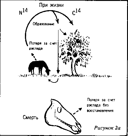 Кен Хэм Эндрю Снеллинг Карл Вилэнд КНИГА ОТВЕТОВ Ответы на 12 наиболее часто задаваемых вопросов о книге бытия, творении и эволюции - i_22.png