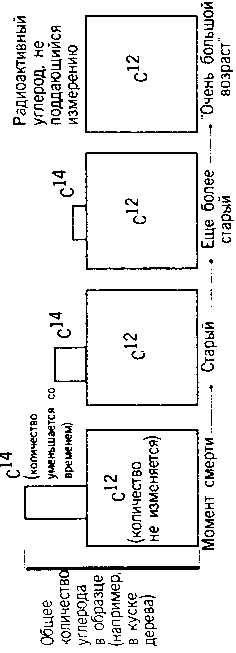 Кен Хэм Эндрю Снеллинг Карл Вилэнд КНИГА ОТВЕТОВ Ответы на 12 наиболее часто задаваемых вопросов о книге бытия, творении и эволюции - i_23.png