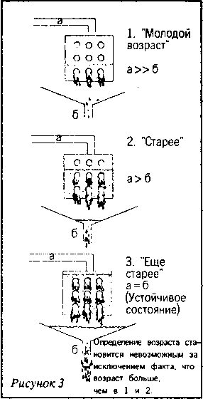 Кен Хэм Эндрю Снеллинг Карл Вилэнд КНИГА ОТВЕТОВ Ответы на 12 наиболее часто задаваемых вопросов о книге бытия, творении и эволюции - i_24.png