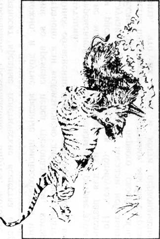 Кен Хэм Эндрю Снеллинг Карл Вилэнд КНИГА ОТВЕТОВ Ответы на 12 наиболее часто задаваемых вопросов о книге бытия, творении и эволюции - i_35.jpg